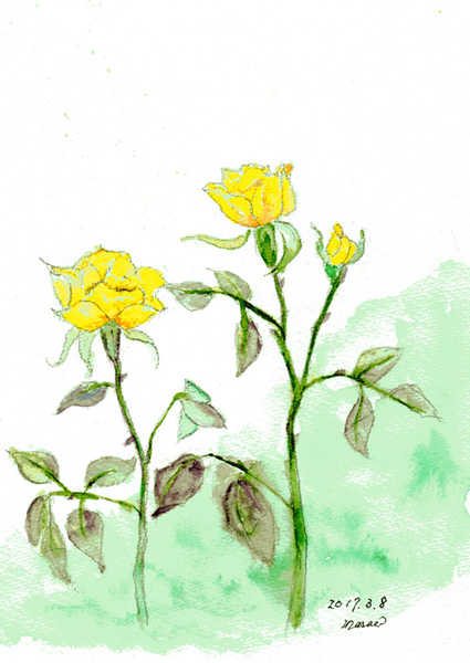 黄色の小薔薇